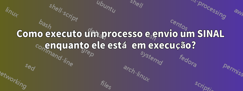 Como executo um processo e envio um SINAL enquanto ele está em execução?