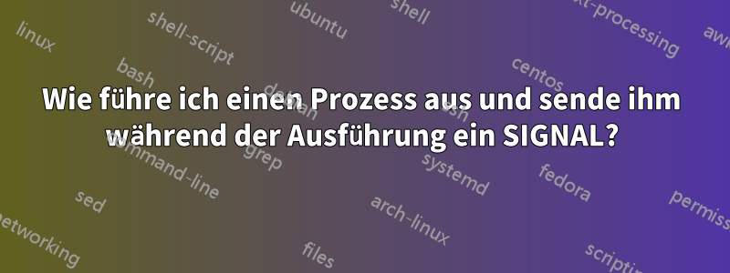 Wie führe ich einen Prozess aus und sende ihm während der Ausführung ein SIGNAL?