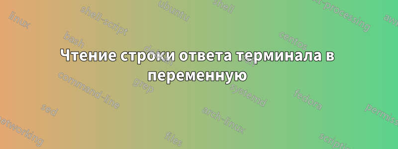 Чтение строки ответа терминала в переменную