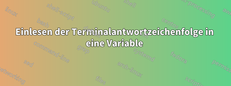 Einlesen der Terminalantwortzeichenfolge in eine Variable