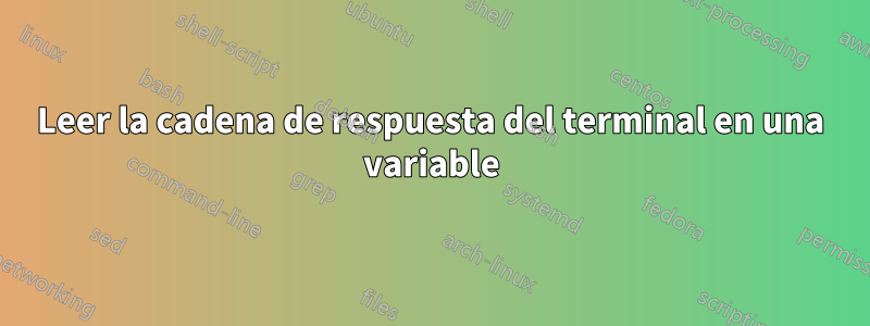 Leer la cadena de respuesta del terminal en una variable