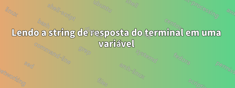 Lendo a string de resposta do terminal em uma variável