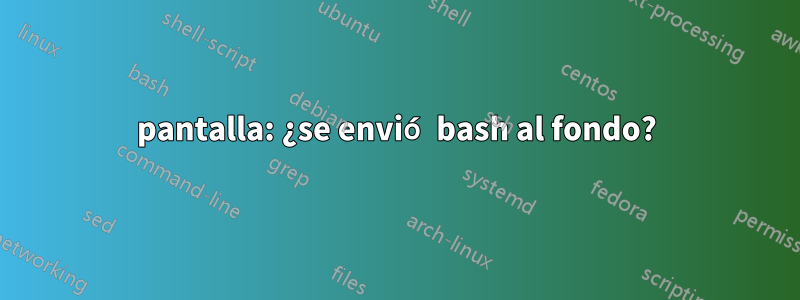 pantalla: ¿se envió bash al fondo?