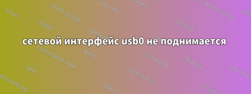 сетевой интерфейс usb0 не поднимается