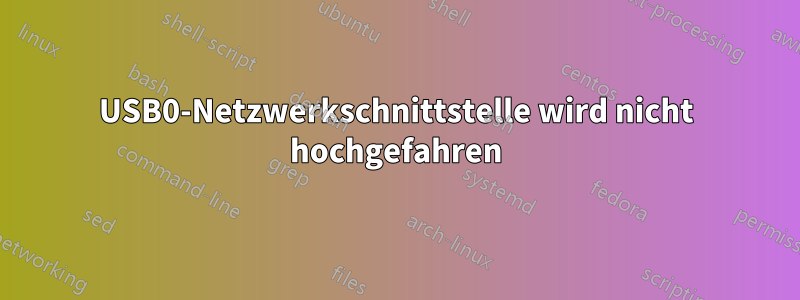 USB0-Netzwerkschnittstelle wird nicht hochgefahren