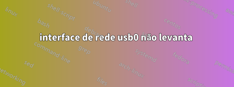 interface de rede usb0 não levanta