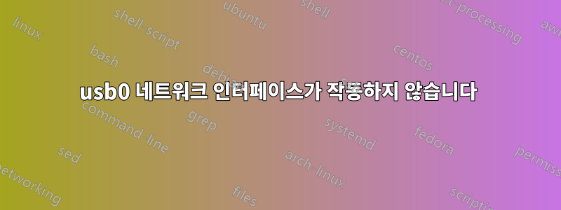 usb0 네트워크 인터페이스가 작동하지 않습니다