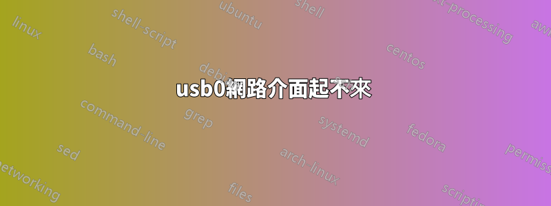 usb0網路介面起不來