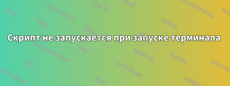 Скрипт не запускается при запуске терминала