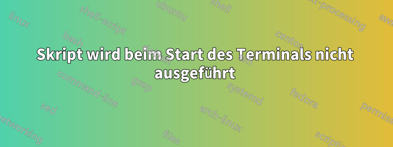 Skript wird beim Start des Terminals nicht ausgeführt