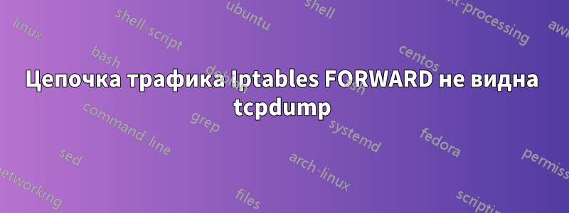 Цепочка трафика Iptables FORWARD не видна tcpdump