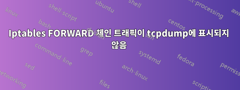 Iptables FORWARD 체인 트래픽이 tcpdump에 표시되지 않음