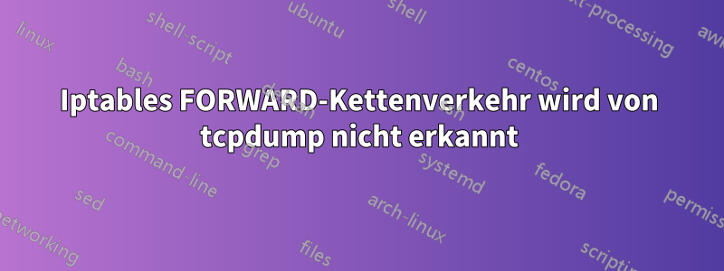 Iptables FORWARD-Kettenverkehr wird von tcpdump nicht erkannt