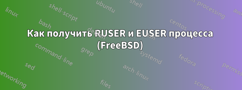 Как получить RUSER и EUSER процесса (FreeBSD)