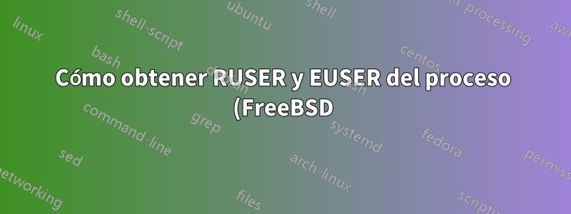 Cómo obtener RUSER y EUSER del proceso (FreeBSD)