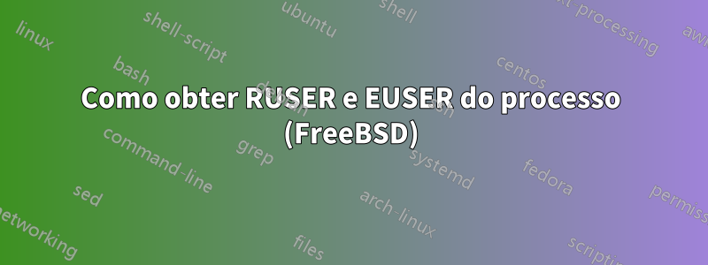 Como obter RUSER e EUSER do processo (FreeBSD)