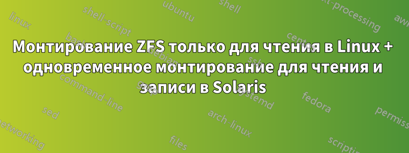 Монтирование ZFS только для чтения в Linux + одновременное монтирование для чтения и записи в Solaris