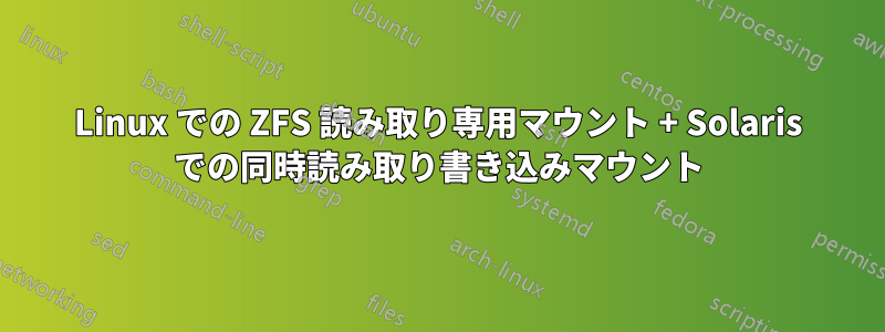 Linux での ZFS 読み取り専用マウント + Solaris での同時読み取り書き込みマウント