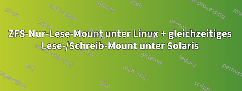 ZFS-Nur-Lese-Mount unter Linux + gleichzeitiges Lese-/Schreib-Mount unter Solaris