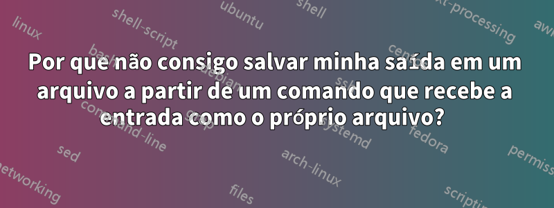 Por que não consigo salvar minha saída em um arquivo a partir de um comando que recebe a entrada como o próprio arquivo? 