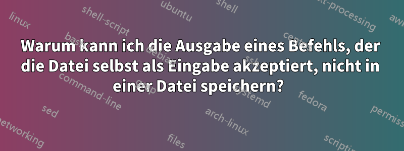 Warum kann ich die Ausgabe eines Befehls, der die Datei selbst als Eingabe akzeptiert, nicht in einer Datei speichern? 