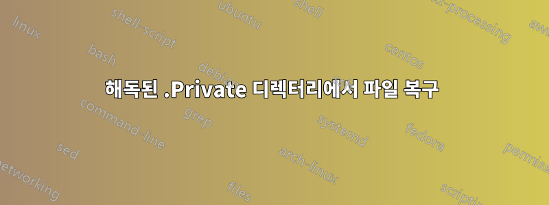 해독된 .Private 디렉터리에서 파일 복구