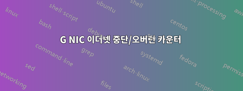 10G NIC 이더넷 중단/오버런 카운터