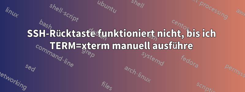 SSH-Rücktaste funktioniert nicht, bis ich TERM=xterm manuell ausführe