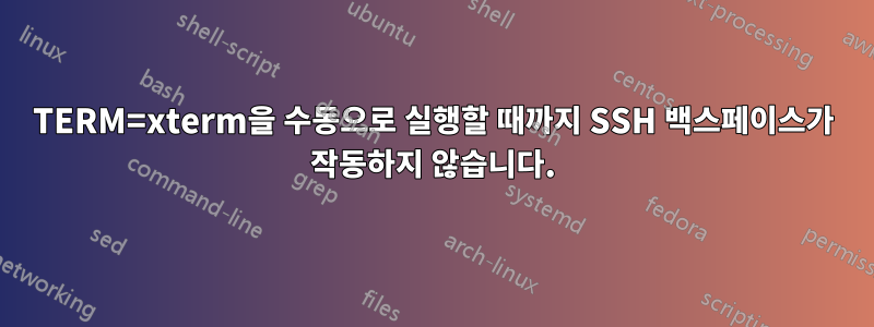 TERM=xterm을 수동으로 실행할 때까지 SSH 백스페이스가 작동하지 않습니다.