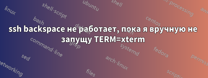 ssh backspace не работает, пока я вручную не запущу TERM=xterm