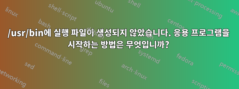 /usr/bin에 실행 파일이 생성되지 않았습니다. 응용 프로그램을 시작하는 방법은 무엇입니까?