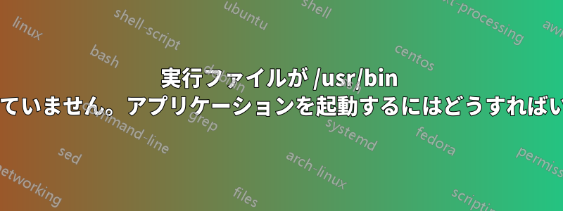 実行ファイルが /usr/bin に作成されていません。アプリケーションを起動するにはどうすればいいですか?