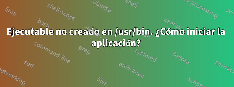 Ejecutable no creado en /usr/bin. ¿Cómo iniciar la aplicación?