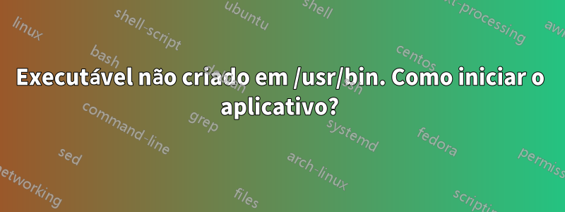 Executável não criado em /usr/bin. Como iniciar o aplicativo?