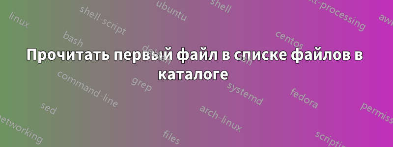 Прочитать первый файл в списке файлов в каталоге 