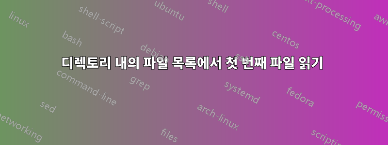 디렉토리 내의 파일 목록에서 첫 번째 파일 읽기