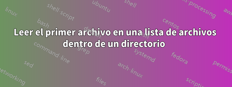 Leer el primer archivo en una lista de archivos dentro de un directorio 