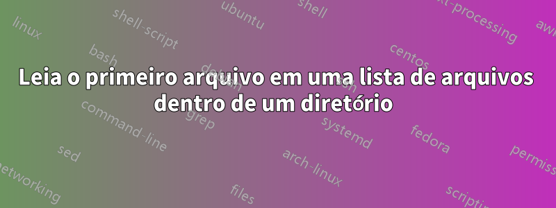 Leia o primeiro arquivo em uma lista de arquivos dentro de um diretório 