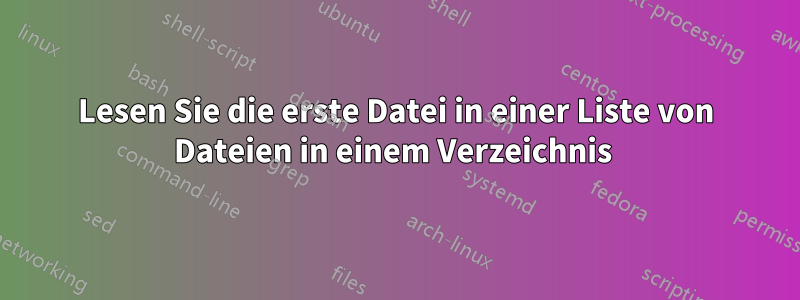 Lesen Sie die erste Datei in einer Liste von Dateien in einem Verzeichnis 