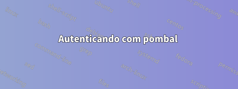 Autenticando com pombal