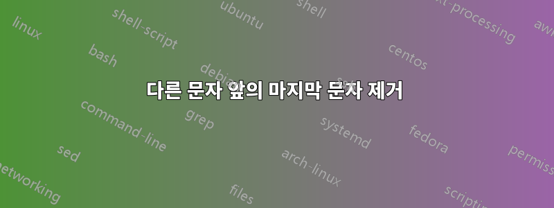 다른 문자 앞의 마지막 문자 제거