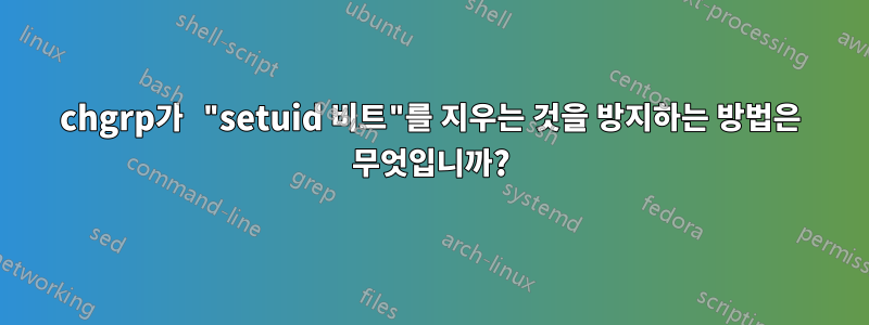 chgrp가 "setuid 비트"를 지우는 것을 방지하는 방법은 무엇입니까?