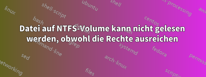 Datei auf NTFS-Volume kann nicht gelesen werden, obwohl die Rechte ausreichen