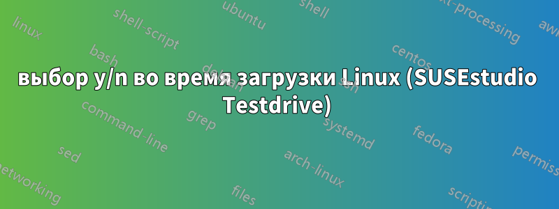 выбор y/n во время загрузки Linux (SUSEstudio Testdrive)