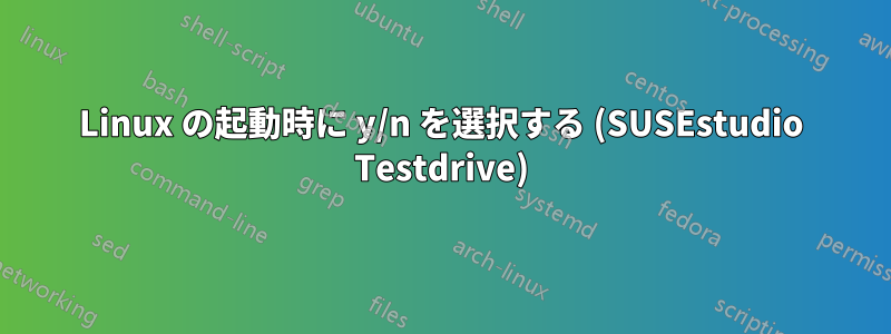 Linux の起動時に y/n を選択する (SUSEstudio Testdrive)