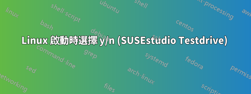 Linux 啟動時選擇 y/n (SUSEstudio Testdrive)