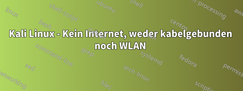 Kali Linux - Kein Internet, weder kabelgebunden noch WLAN