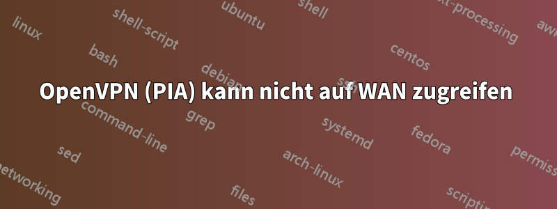 OpenVPN (PIA) kann nicht auf WAN zugreifen