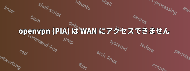 openvpn (PIA) は WAN にアクセスできません