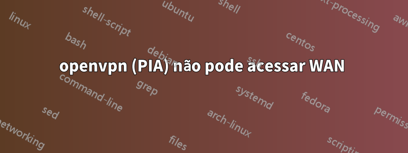 openvpn (PIA) não pode acessar WAN